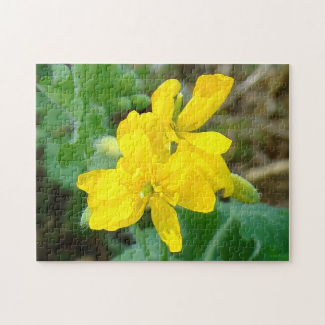 F44 Gelbe Wildblumen Wilder Senf (Horizontal)