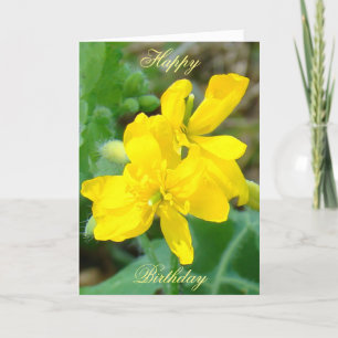 F44 Gelbe Wildblumen Wilder Senf Karte
