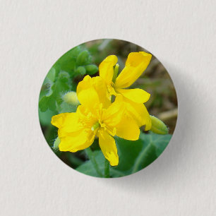 F44 Gelbe Wildblumen WildSenf Button