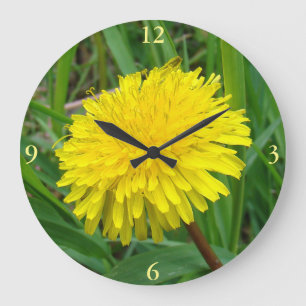 F45 Dandelion "Taraxacum officinale" Große Wanduhr