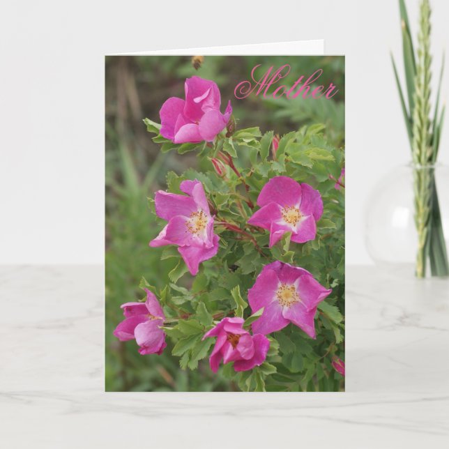 F46 Wilde Rose Karte (Vorderseite)