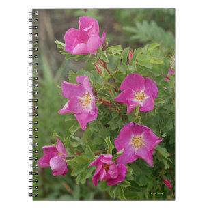 F46 Wilde Rosen Notizblock