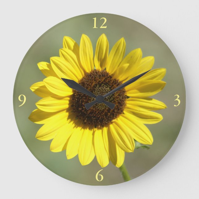 F47 Gelbe Wildblume Gemeinsame jährliche Sonnenblu Große Wanduhr (Vorderseite)