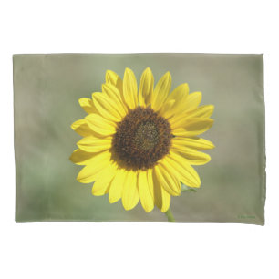 F47 Gelbe Wildblume Gewöhnliche Einjährige Sonnenb Kissenbezug