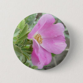 F4 Alberta Wild Rose Button