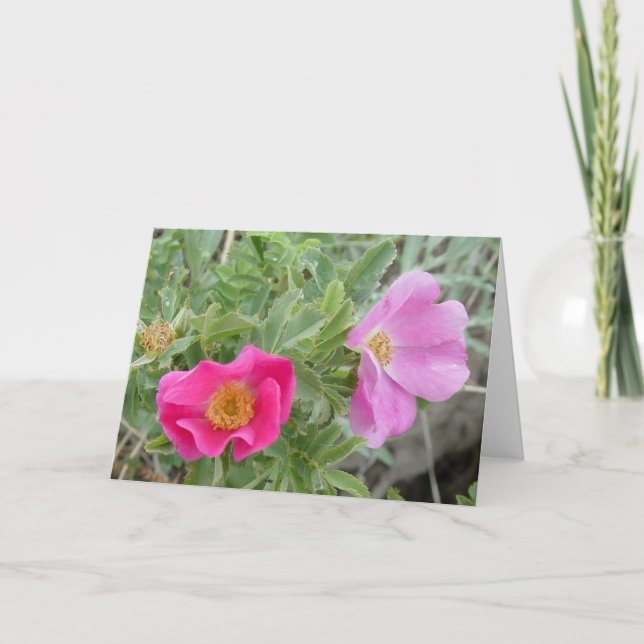 F4 Wilde Rose Karte (Vorderseite)