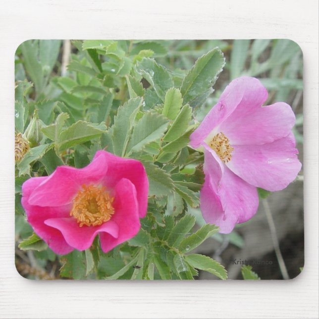 F4 Wilde Rose Mousepad (Vorne)