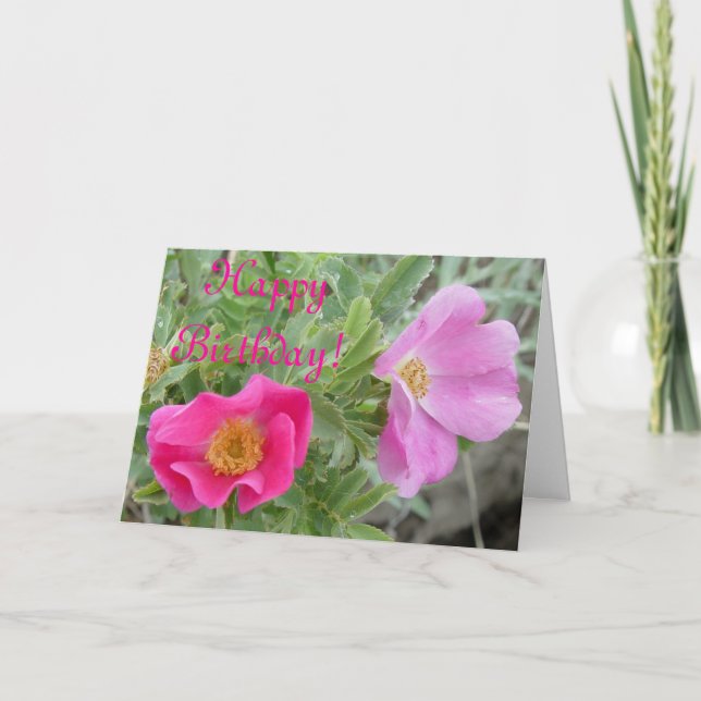 F4 Wilde Rosen Karte (Vorderseite)