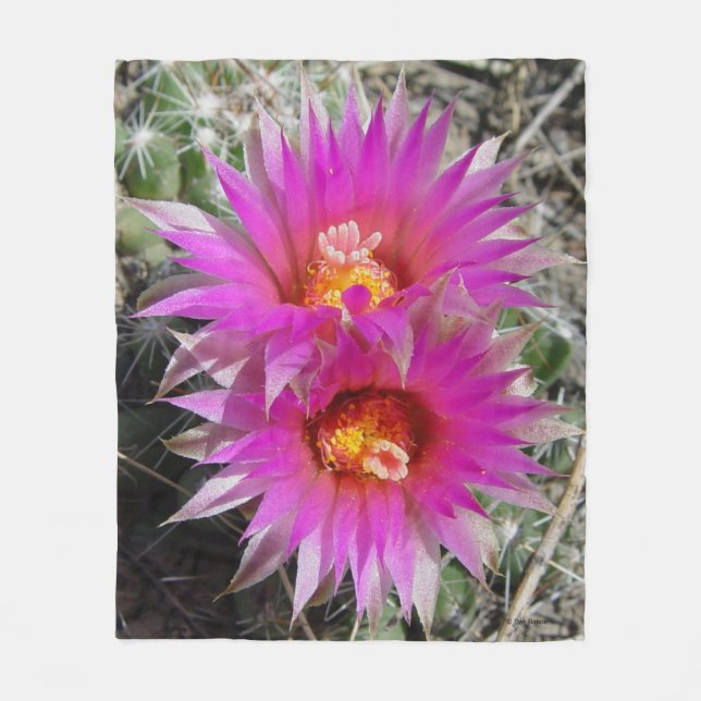F5 Ball Cactus Blume "Escobaria vivipara" Fleecedecke (Vorderseite)