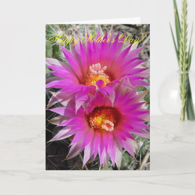 F5 Ball Cactus Blume "Escobaria vivipara" Karte (Vorderseite)