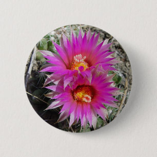 F5 Kugelkaktus-Blüten "Escobaria vivipara" Button