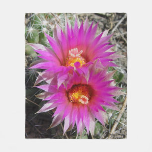F5 Kugelkaktus-Blüten "Escobaria vivipara" Fleecedecke