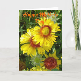 F6 Gelbe Wildblumen Karte