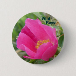 F7 Alberta Wild Rose Button