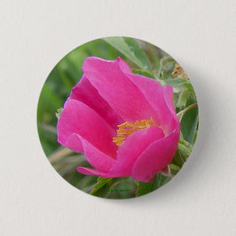 F7 Alberta wilde Rose Button