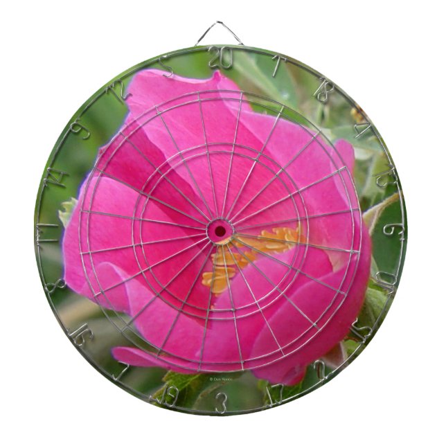F7 Wilde Rose Hellrosa Blossom Dartscheibe (vorne)