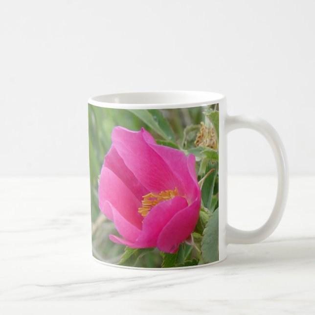 F7 Wilde Rose Kaffeetasse (Rechts)