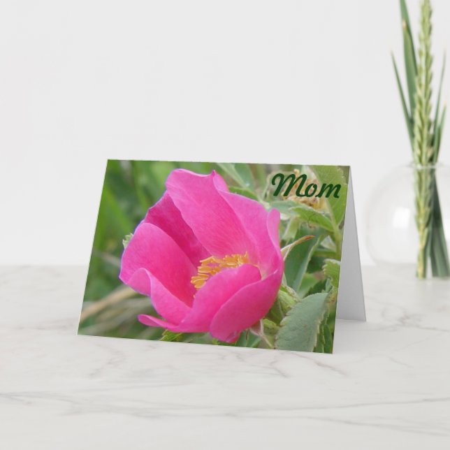F7 Wilde Rose Karte (Vorderseite)