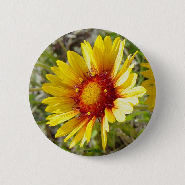 F8 Gelbe Wildblumen Gaillardia Button (Vorderseite)