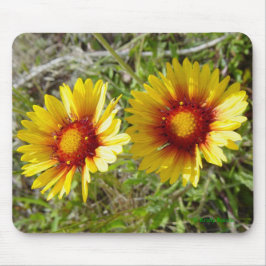 F8 Gelbe Wildblumen Gaillardia Mousepad