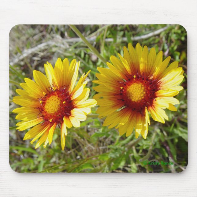 F8 Gelbe Wildblumen Gaillardia Mousepad (Vorne)