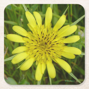 F9 Gelbe Wildblume Ziegen Rechteckiger Pappuntersetzer