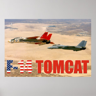 F-14 POSTER TOMCAT "WINGMAN"
