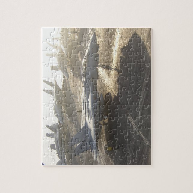 F-14 Tomcat (Vertikal)