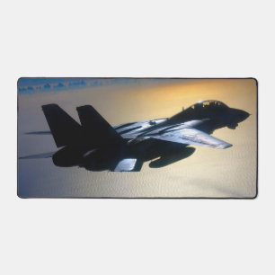 F-14 TOMCAT