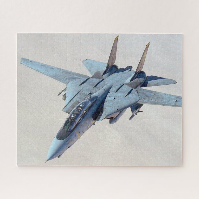 F-14 TOMCAT (16x20 INCH) (Horizontal)