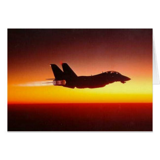 F-14 TOMCAT DANS L'APRÈS-BRÛLANT
