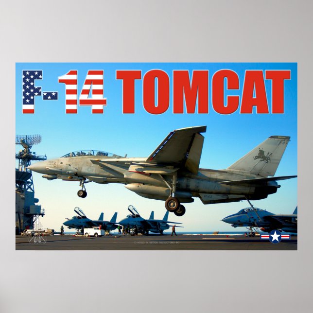 F-14 TOMCAT "HOOK DOWN" POSTER (Vorne)