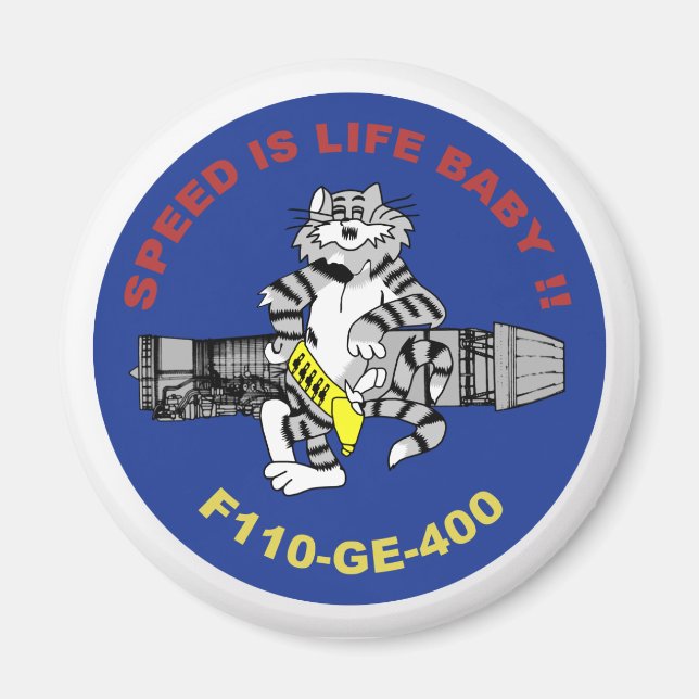 F-14 Tomcat Magnet (Vorne)