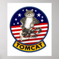 F-14 Tomcat Mascot