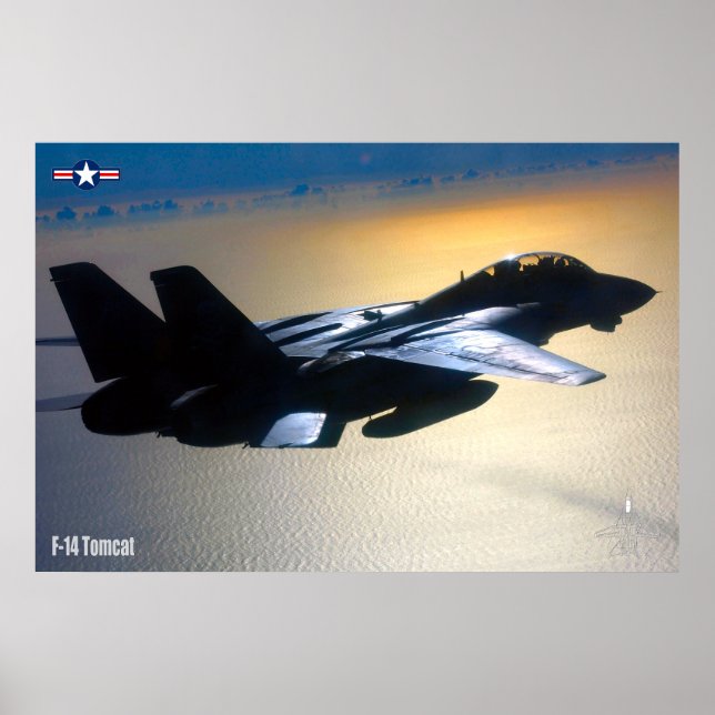 F-14 TOMCAT "ON PATROL" POSTER (Vorne)