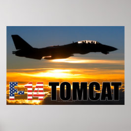F-14 TOMCAT POSTER