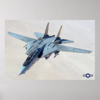 F-14 TOMCAT