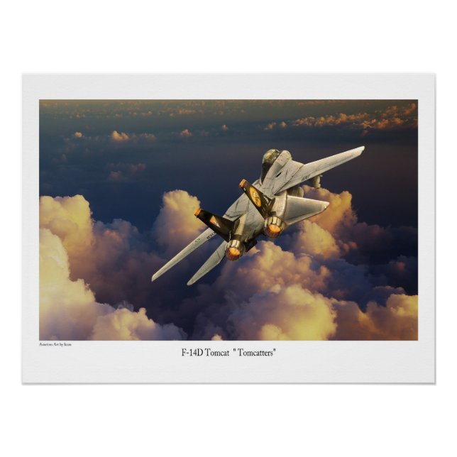 F-14 Tomcat  Poster (Vorderseite)