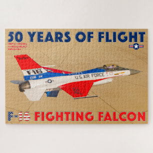 F-16 KÄMPFUNG FALCON - 50 JAHRE! (20 x 30 INCH)