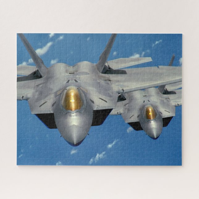 F-22A RAPTOR (16x20 INCH) (Horizontal)