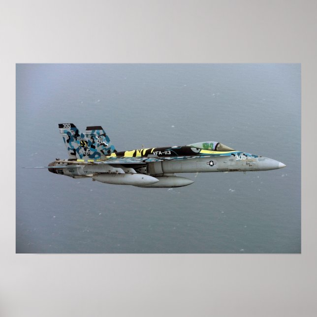 F/A-18C Hornet Poster (Vorne)