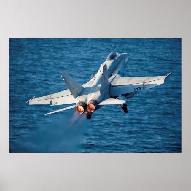 F/A-18C Hornet Poster (Vorne)