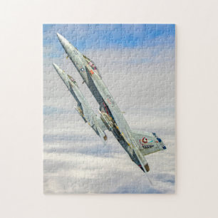 F/A-18E SUPER HORNET (11x14 INCH)