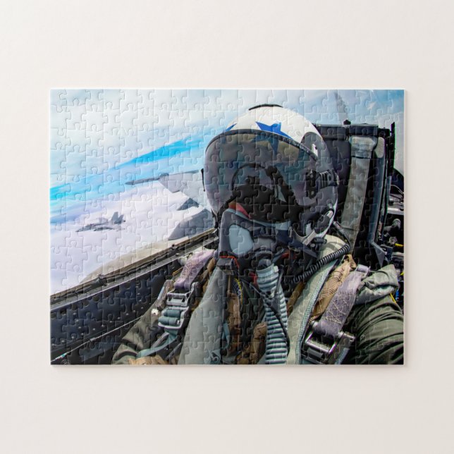 F/A-18E SUPER HORNET PILOT (11x14 INCH) (Horizontal)