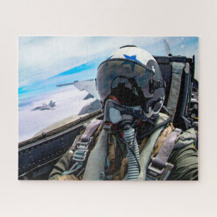 F/A-18E SUPER HORNET PILOT (16x20 INCH)