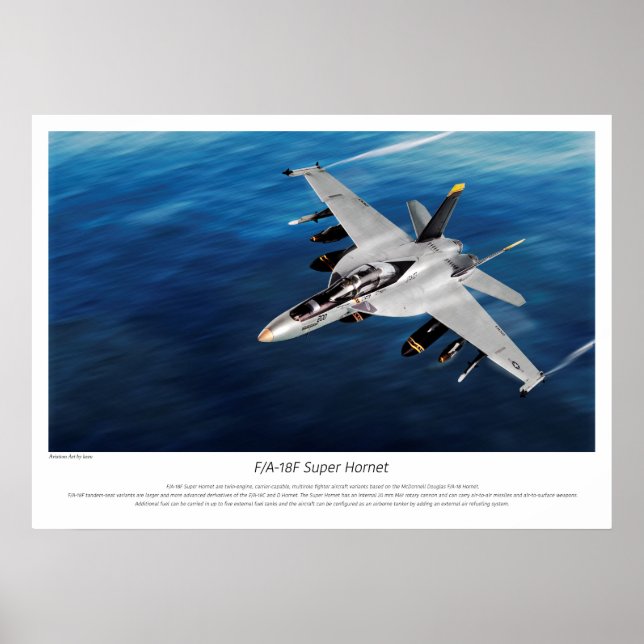 "F/A-18F Super Hornet" Poster (Vorne)
