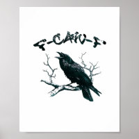 F-Caw-F Ästhetik-Design