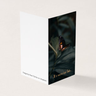 F. Scott Fitzgerald zitiert