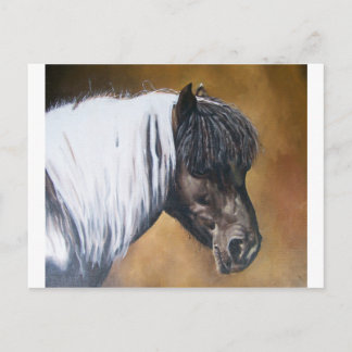 FAA-AfroPony Postkarte