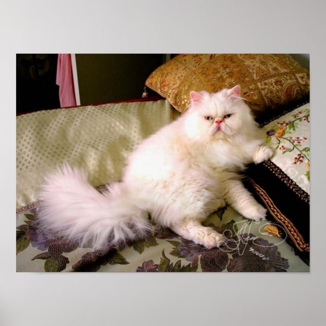 faaabuuuuloussss!!!! poster (Vorne)